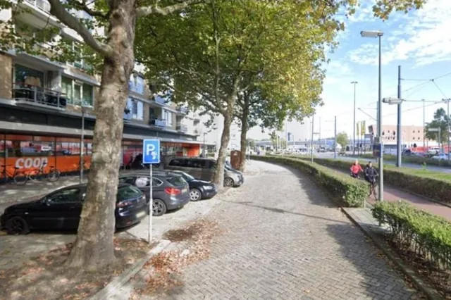 Street View van de parkeervakken met het P-bord langs de 's-Gravelandseweg
